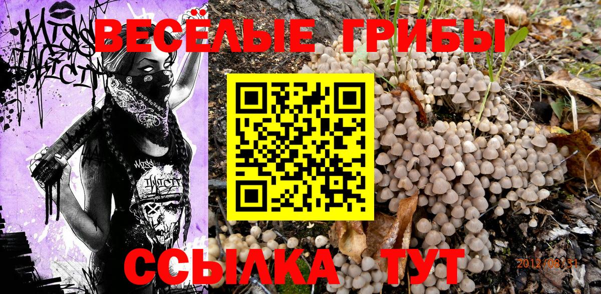 Галлюциногенные грибы GOLDEN TEACHER Отрадное