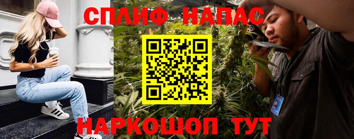Канабис конопля Отрадное